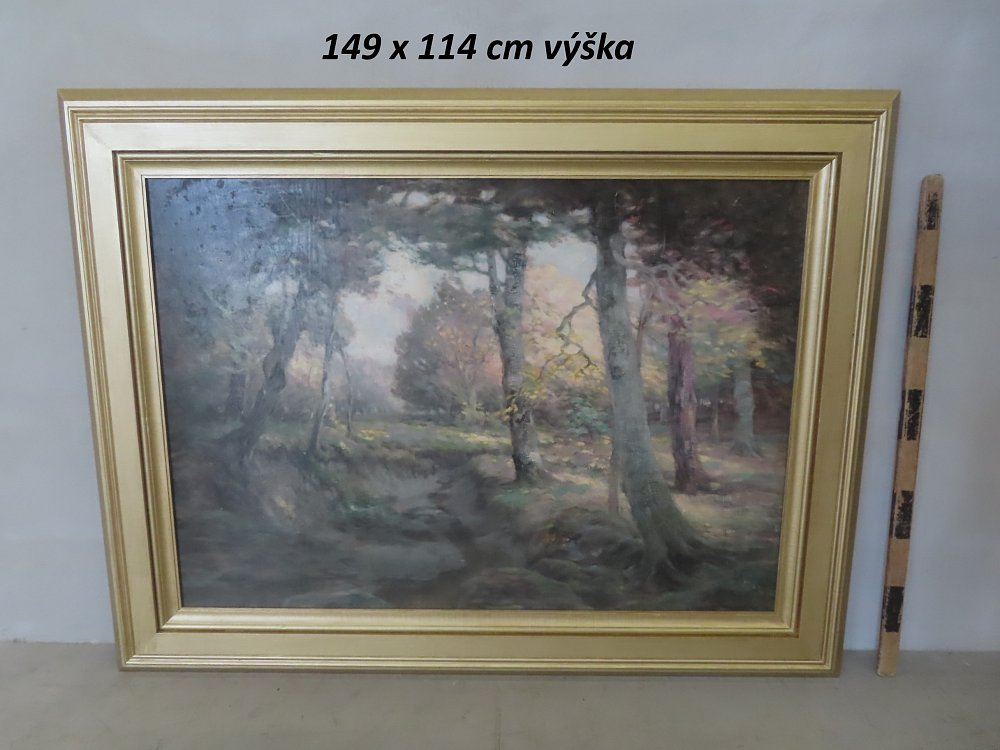 Image of forest landscape