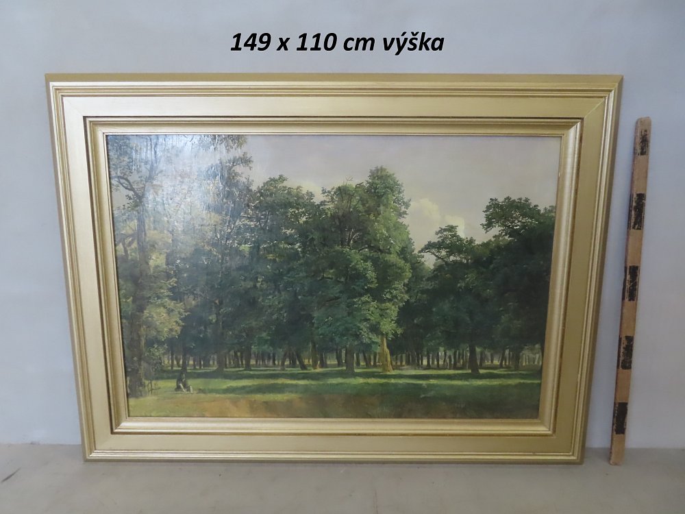 Image of forest landscape